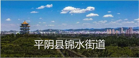 平阴县锦水街道